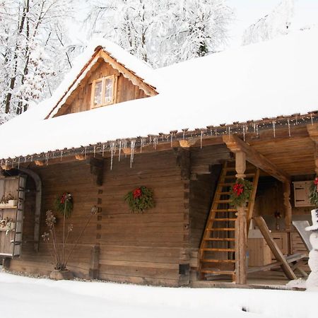 Apartma Kasca Domžale Eksteriør billede