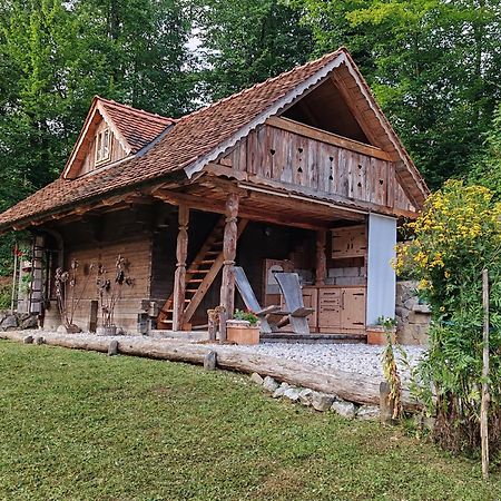 Apartma Kasca Domžale Eksteriør billede