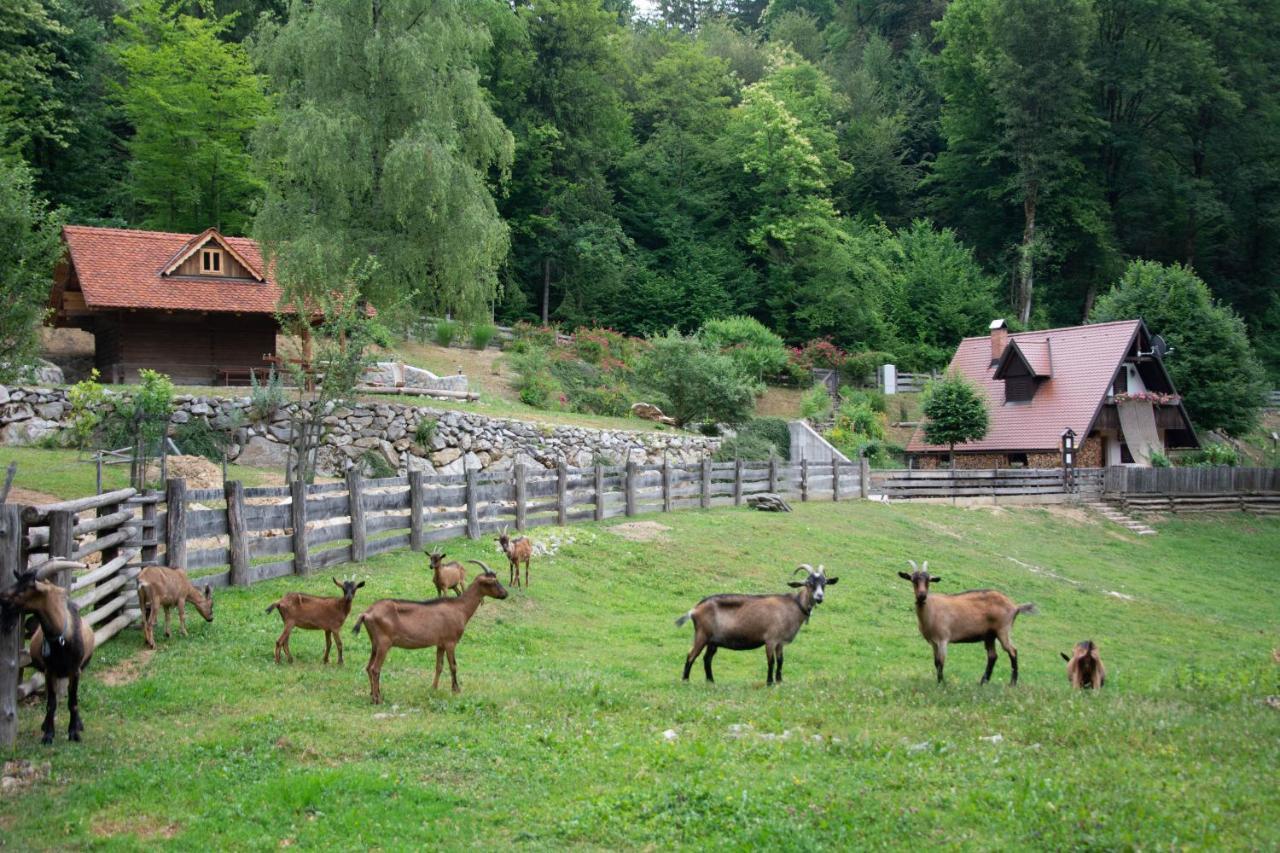Apartma Kasca Domžale Eksteriør billede